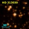 HD 313030