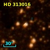 HD 313016