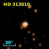 HD 313010