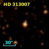 HD 313007