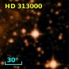 HD 313000