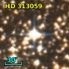 HD 313059