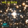 HD 313076