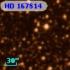 HD 167814