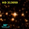 HD 313050