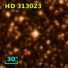 HD 313023