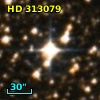 HD 313079