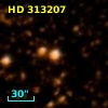 HD 313207