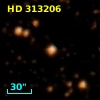 HD 313206