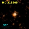 HD 313205