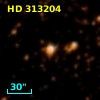 HD 313204