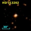 HD 313202