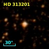 HD 313201