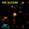 HD 313199