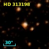 HD 313198