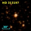 HD 313197