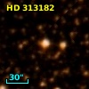 HD 313182