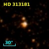 HD 313181