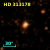 HD 313178