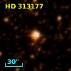 HD 313177
