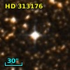 HD 313176