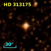 HD 313175