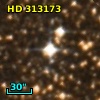 HD 313173