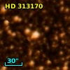HD 313170