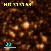 HD 313168