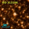 HD 313166