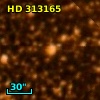 HD 313165