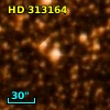 HD 313164