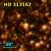 HD 313162