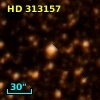 HD 313157