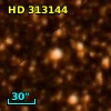 HD 313144