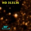 HD 313136