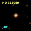 HD 313089