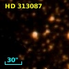 HD 313087