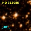 HD 313085