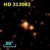 HD 313082