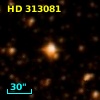 HD 313081