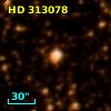 HD 313078