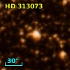 HD 313073