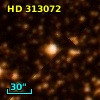 HD 313072