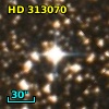 HD 313070