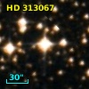 HD 313067