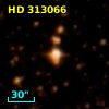 HD 313066