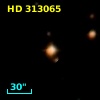 HD 313065