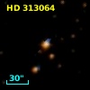 HD 313064