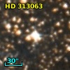 HD 313063